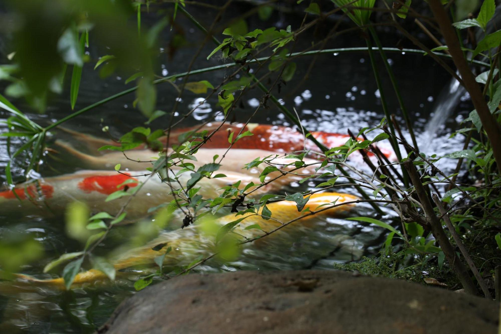 Shanti Ghar Guest House Tamarin ภายนอก รูปภาพ