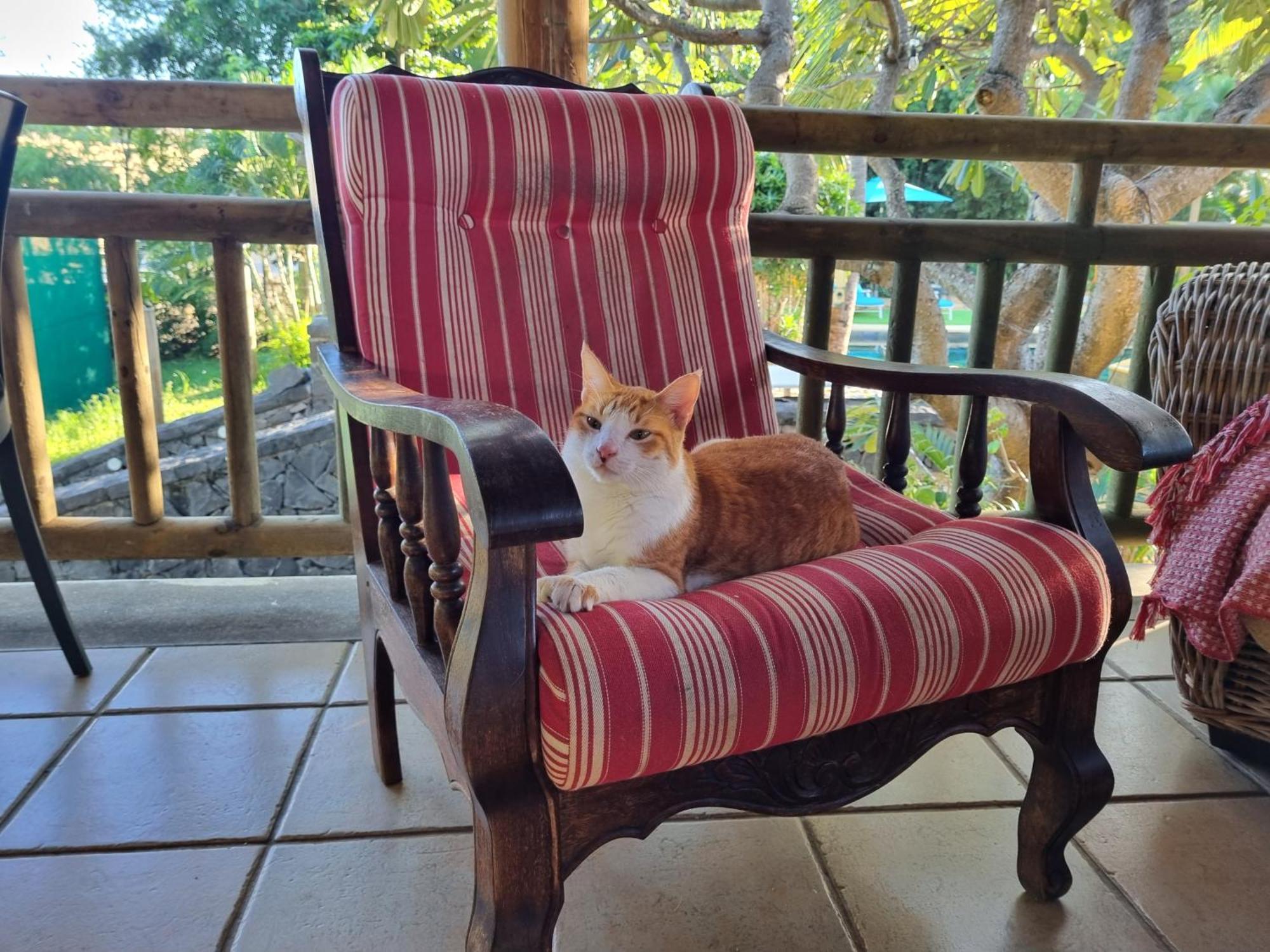 Shanti Ghar Guest House Tamarin ภายนอก รูปภาพ